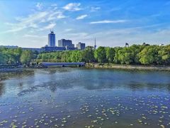 -长春市南湖公园