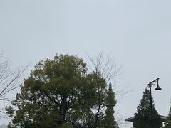 -香积寺