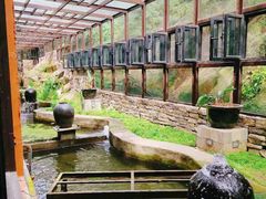 -Local泰莲庭(虹鳟鱼店)