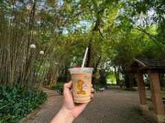 -晓港公园