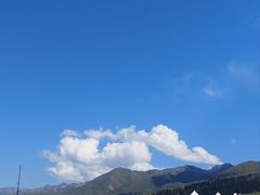 -蘑菇拌面•正宗新疆菜