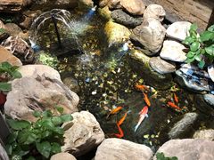 -清真·京华源铜锅涮肉(丰庆店)