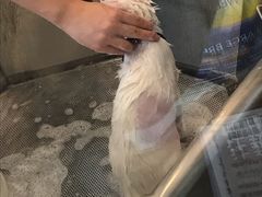 -PETKIT小佩宠物(古北店)