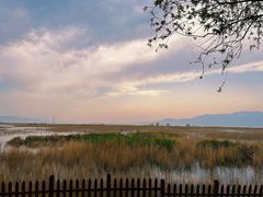 -野鸭湖国家湿地公园