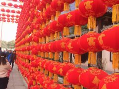 -西安汉城湖景区