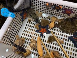 -钓虾工场·钓虾·赶海(回龙观店)