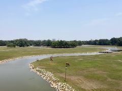 -北京麋鹿生态实验中心