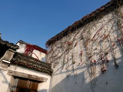 -乌镇东栅景区