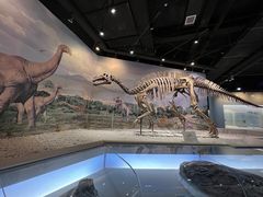 -辽宁古生物博物馆