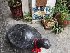 -梧州双钱龟苓膏(老街店)