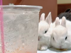 -大象厨房(重庆道店)