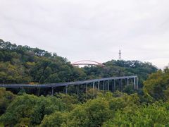 -金鸡山公园