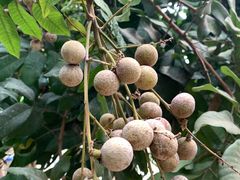 -南通洲际绿博园