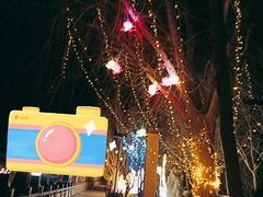 -党河风情线国家水利风景区