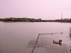 景点-昆山城市生态森林公园