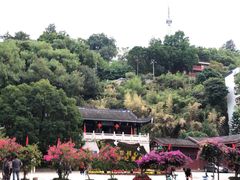 -乌山风景区