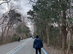 -盐城丹顶鹤湿地生态旅游区