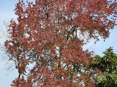 -西山漾湿地公园