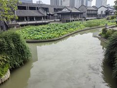 -龙潭水乡