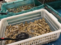 -初色海鲜自助(万丰路店)