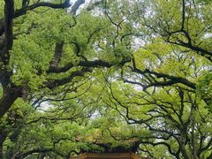 -普陀山风景名胜区-法雨禅寺