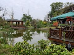 -成都安仁福朋喜来登酒店