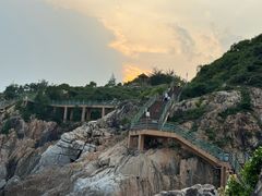 -广东惠东海龟国家级自然保护区