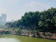 -光明港公园