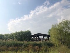 -永定河休闲森林公园