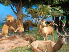 -国家自然博物馆