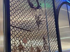 -阿斯牛牛·凉山菜(新会展店)