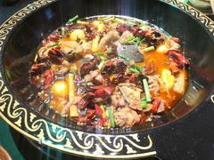 -一只烧鸡公(解放碑店)