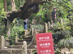 -严子陵钓台(富春江小三峡)