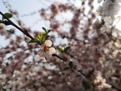 -北京奥林匹克公园