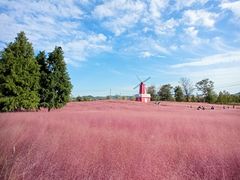 -羊亭河湿地公园