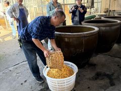 -苏州市吴中区光福窑上花果蜜饯厂