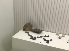 -青岛贝壳博物馆