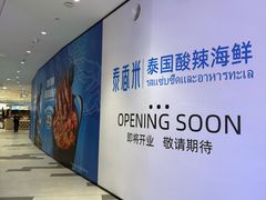 -首开·龙湖成都西宸天街