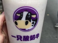 -一只酸奶牛(东方广场店)