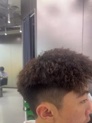 -东方麒麟·潘多拉SALON