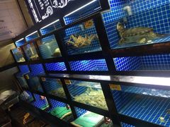 -徽三说·土徽菜·中国徽菜连锁品牌(一中店)