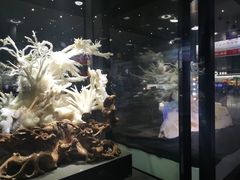 -郴州西站