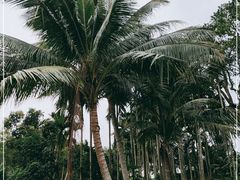 -蔡家宅