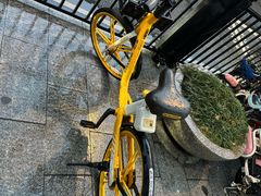 -南宋御街