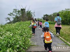 -宾果蒙特梭利托育儿童之家幼儿园(爱琴海店)