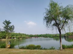-宜兴龙背山森林公园