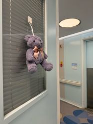 -杭州贝瑞斯美华妇儿医院·早孕·产检·儿科