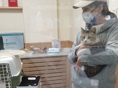 -瑞派宠物医院·24h·骨外科·皮肤科·全科宠物医疗转诊中心(沈阳浑南院)