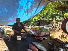 -尼甘布海鲜市场