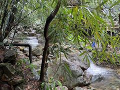 -天门沟九州驿站树上汤泉